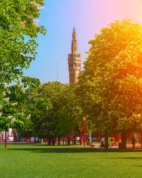 Vue estivale du Parc Jean-Baptiste Lebas à Lille France — Photo