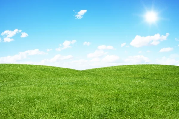 Campo verde e céu azul — Fotografia de Stock