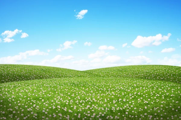 Grönt fält och blå himmel — Stockfoto