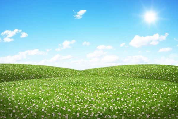 Champ vert et ciel bleu — Photo