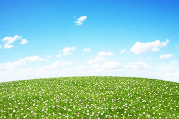 Campo verde e céu azul — Fotografia de Stock