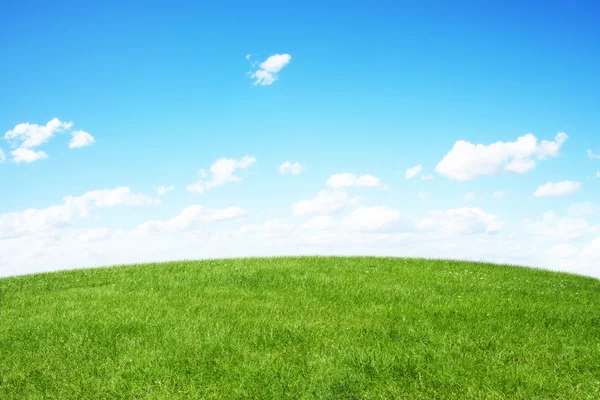 Campo verde e céu azul — Fotografia de Stock