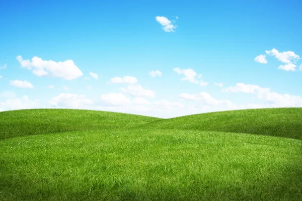 Campo verde e céu azul — Fotografia de Stock