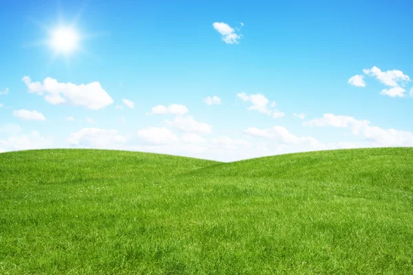 Vihreä kenttä ja sininen taivas — kuvapankkivalokuva