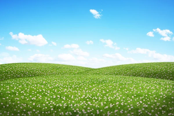 Grönt fält och blå himmel — Stockfoto