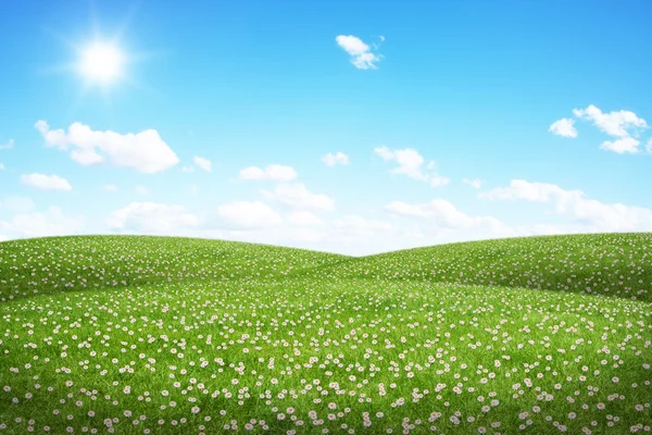 Campo verde e céu azul — Fotografia de Stock