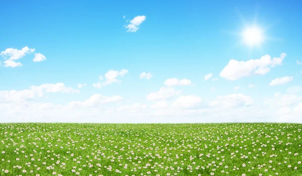 Campo verde e céu azul — Fotografia de Stock