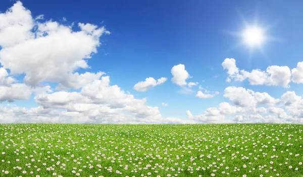 Campo verde e céu azul — Fotografia de Stock