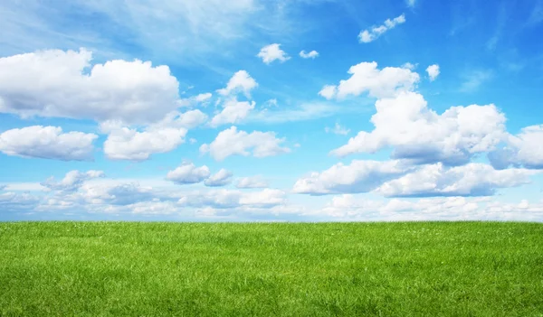 Campo verde e céu azul — Fotografia de Stock