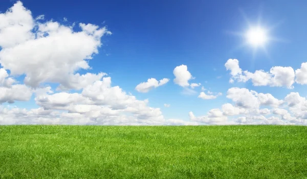 Grüne Wiese und blauer Himmel — Stockfoto