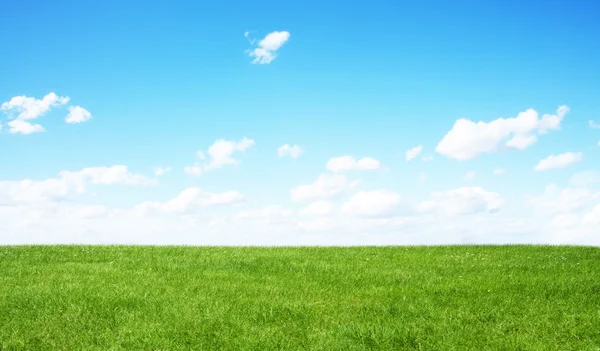 Campo verde y cielo azul —  Fotos de Stock