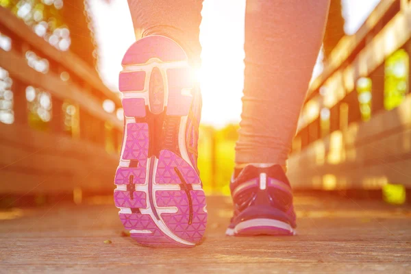 Vrouw met een veld bij zonsondergang — Stockfoto