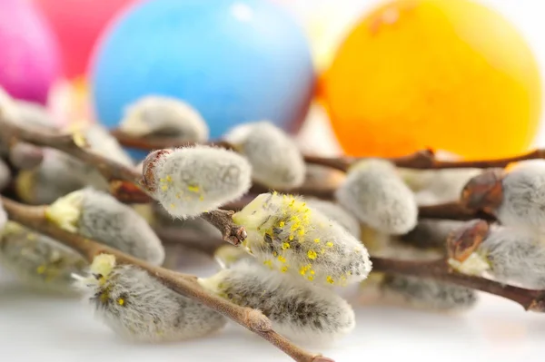 Dalları Söğüt ve renkli Paskalya yumurtaları — Stok fotoğraf