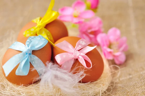 Uova di Pasqua nel nido su una iuta — Foto Stock