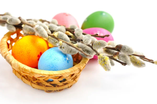 Colorful easter eggs and branches of willow on white background — Stock Photo, Image