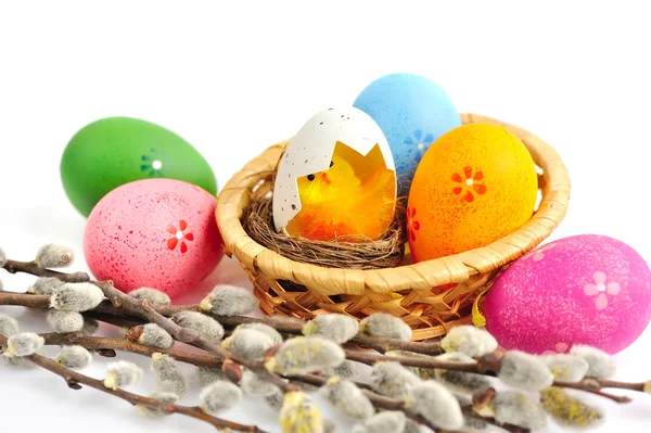 Πολύχρωμα Πασχαλινά αυγά και υποκαταστήματα της ιτιάς σε άσπρο φόντο — Φωτογραφία Αρχείου