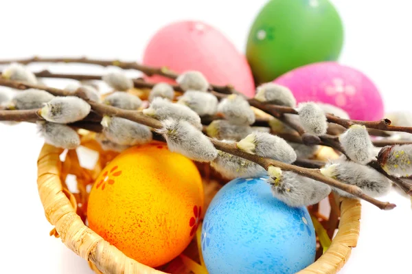 Colorful easter eggs and branches of willow on white background — Stock Photo, Image