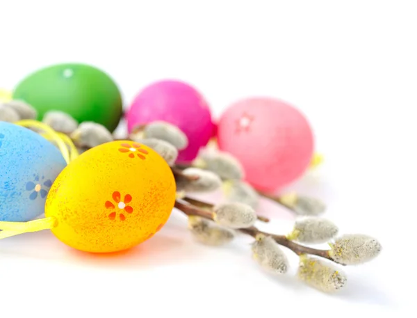 Цветные пасхальные яйца и ветви ивы на белом фоне — стоковое фото