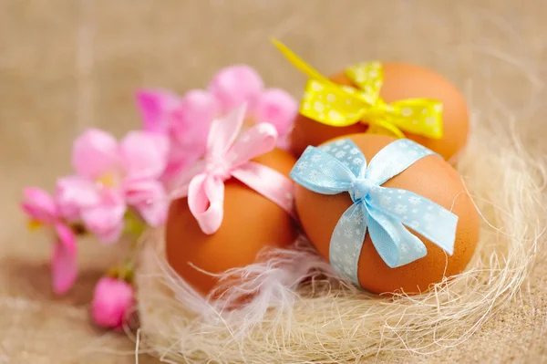 Easter eggs in the nest on a burlap — Stock Photo, Image