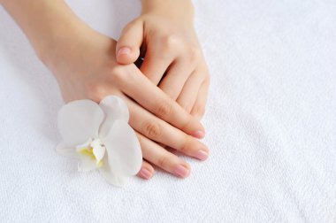 Beyaz Orkide çiçek güzel kadın elle