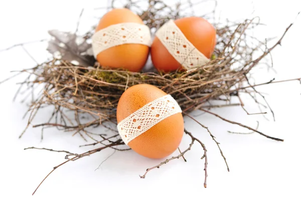 Nido con huevos de Pascua sobre un fondo blanco —  Fotos de Stock