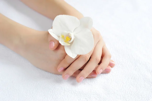 Όμορφη γυναίκα χέρια με λευκή ορχιδέα λουλούδι — Φωτογραφία Αρχείου