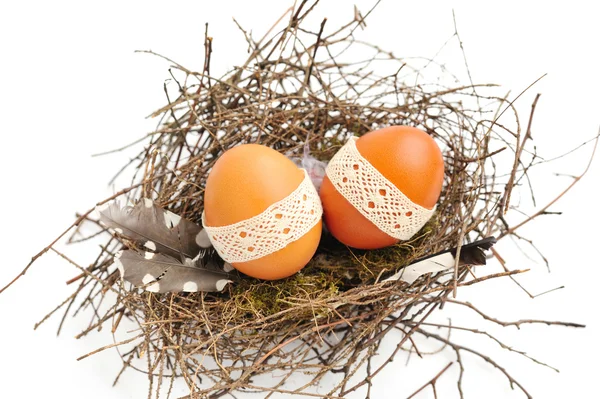 Nido con huevos de Pascua sobre un fondo blanco —  Fotos de Stock