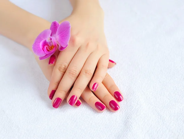 Mooie handen met manicure en paarse orchideebloem — Stockfoto