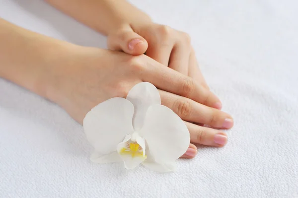 Krásná žena ruce s bílou orchidej květina — Stock fotografie