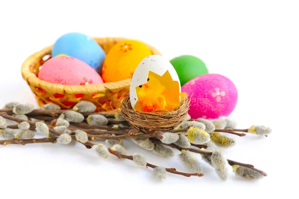 Oeufs de Pâques colorés et branches de saule sur fond blanc — Photo