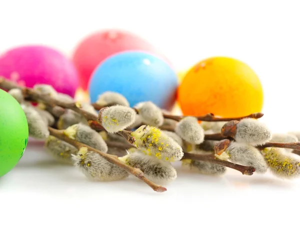 Branches of willow and colorful easter eggs on white background — Stock Photo, Image