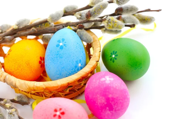 Colorful easter eggs and branches of willow on white background — Stock Photo, Image