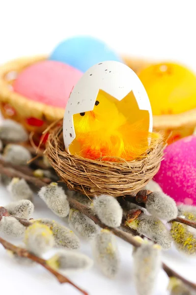 Coloridos huevos de Pascua y ramas de sauce sobre fondo blanco —  Fotos de Stock