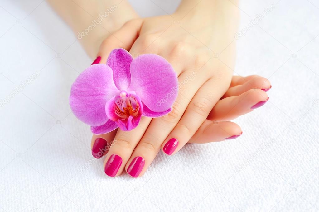 Beautiful hands with manicure and purple orchid flower