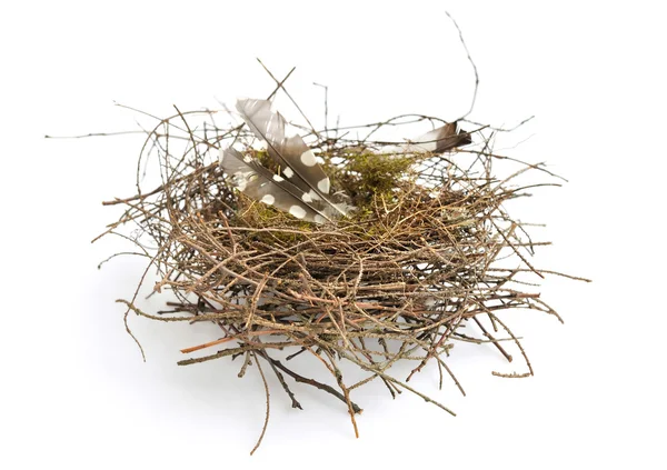 Real empty bird nest on white background Royalty Free Stock Photos
