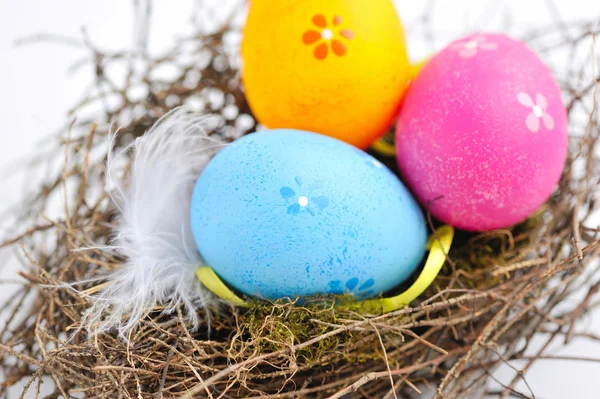 Πολύχρωμα Πασχαλινά αυγά σε φωλιά σε λευκό φόντο — Φωτογραφία Αρχείου