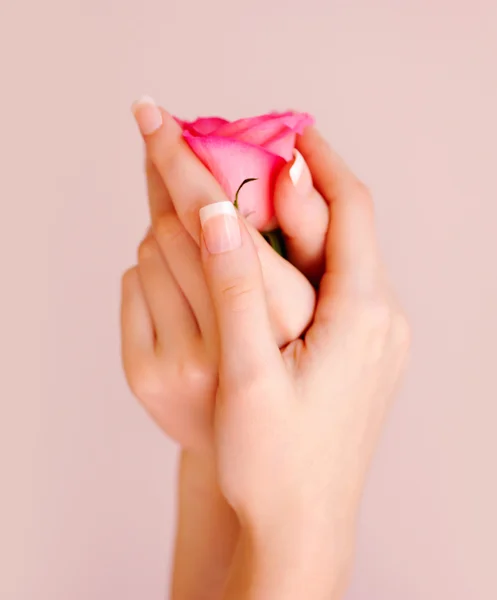 Zbliżenie obrazu różowy Manicure francuski z różą — Zdjęcie stockowe