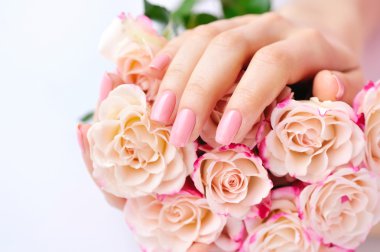 Pembe Gül beyaz arka plan ile bir kadının elleri