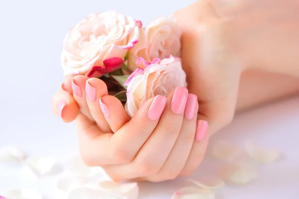 Manos de una mujer con manicura rosa en uñas y rosas sobre fondo blanco — Foto de Stock