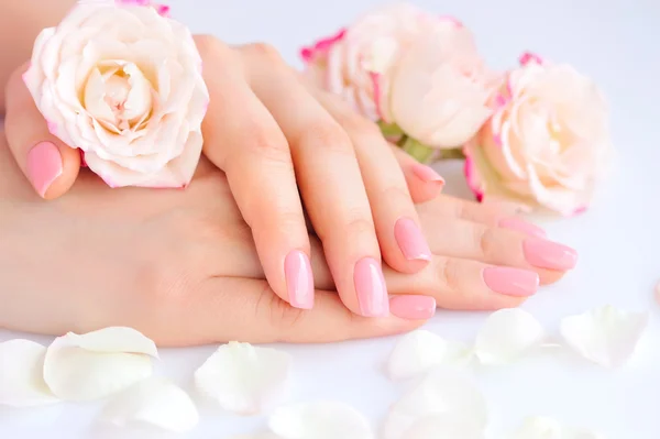 Manos de una mujer con manicura rosa en uñas y rosas —  Fotos de Stock