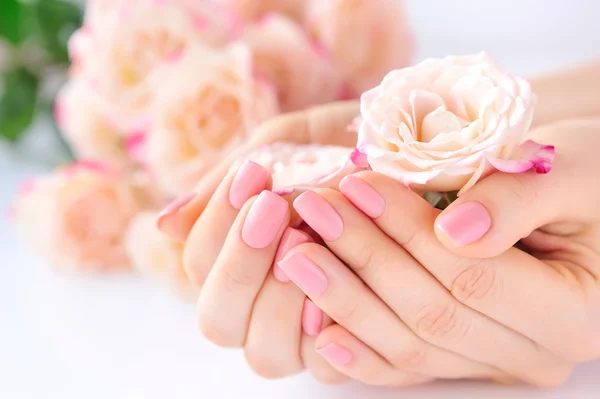 Hände einer Frau mit rosa Maniküre auf Nägeln und Rosen — Stockfoto