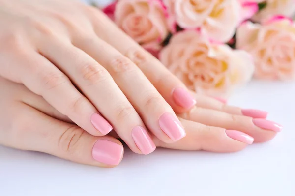 手の爪と白い背景に、バラにピンクのマニキュアを持つ女性の — ストック写真