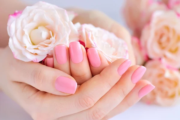 Ruce ženy s růžovými manikúra nehty a růže — Stock fotografie