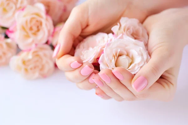 Manos de una mujer con manicura rosa en uñas y rosas sobre fondo blanco — Foto de Stock