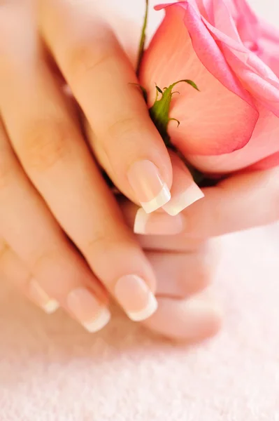 Close-up beeld van roze Franse manicure met roos — Stockfoto