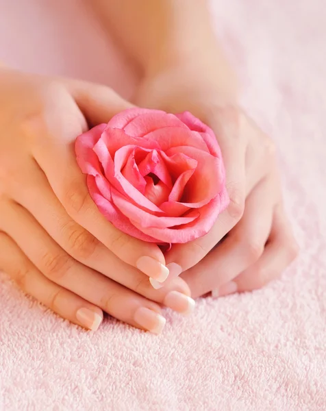 Detailní obrázek růžové francouzské manikúry s růží — Stock fotografie