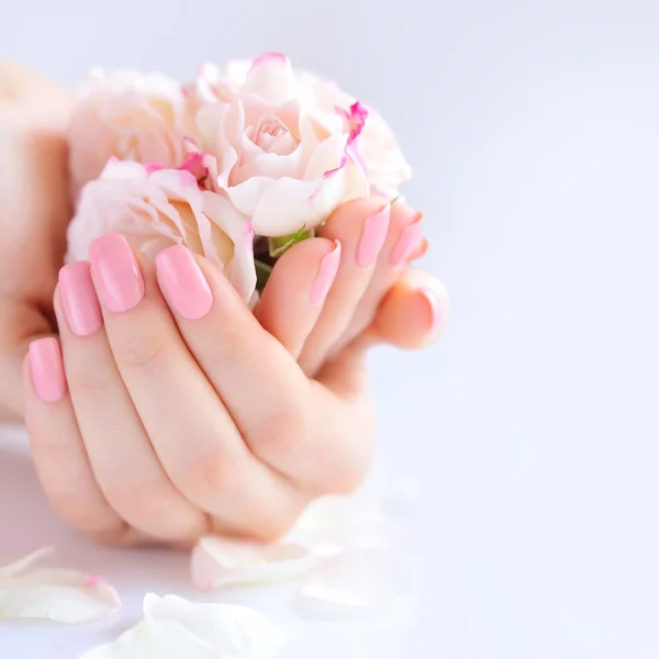 Kezében egy nő, rózsaszín manikűr a köröm és a rózsák — Stock Fotó