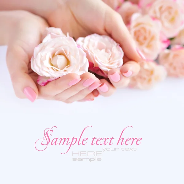 Mãos de uma mulher com manicure rosa em unhas e rosas contra fundo branco — Fotografia de Stock