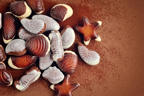 Misto di caramelle di conchiglia al cioccolato — Foto Stock