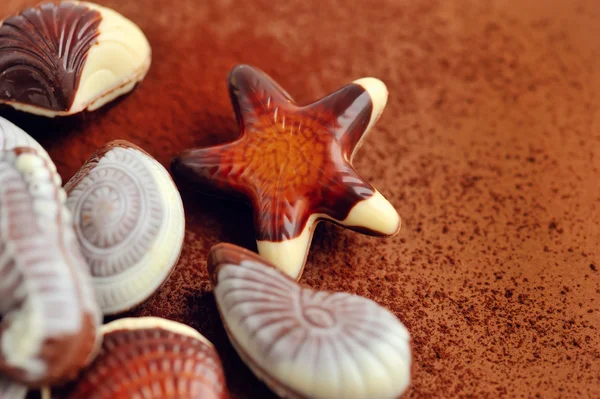 Misto di caramelle di conchiglia al cioccolato — Foto Stock